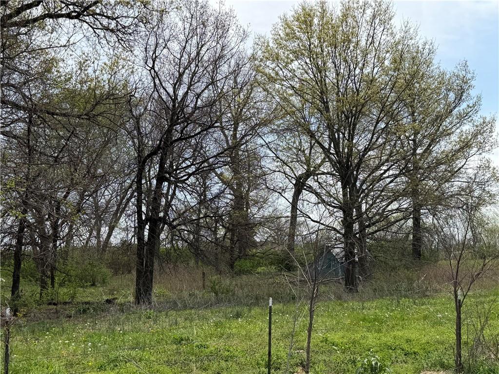 961 Southwest 201st Road Warrensburg, MO 64093 - Photo 3 of 13