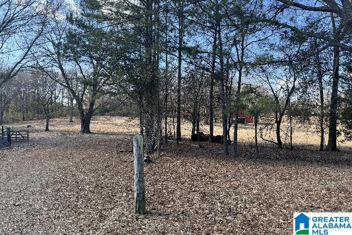 1036 Rushing Springs Road Lincoln, AL 35096 - Photo 17 of 58