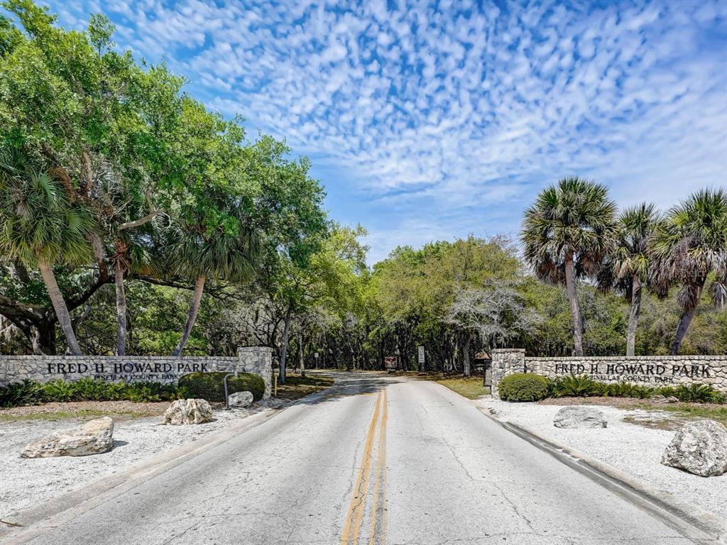 640 Kenneth Way Tarpon Springs, FL 34689 - Photo 73 of 84 a view of a road with a yard