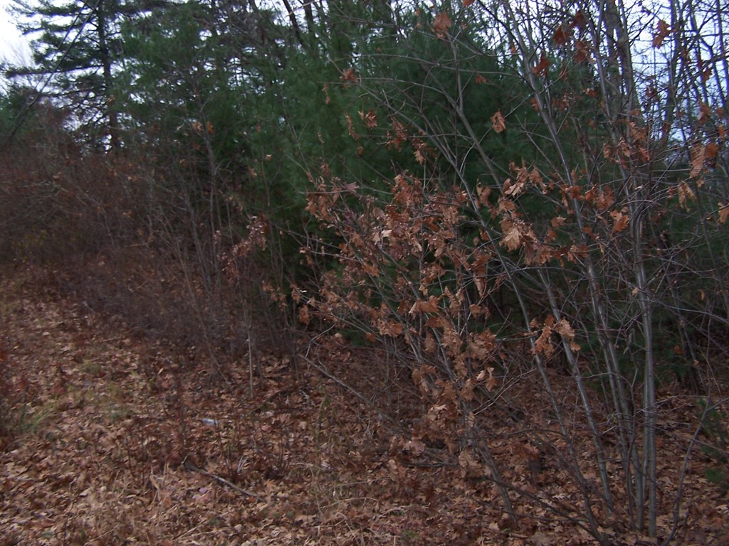 1587 White Pond Road Athol, MA 01331 - Photo 2 of 5