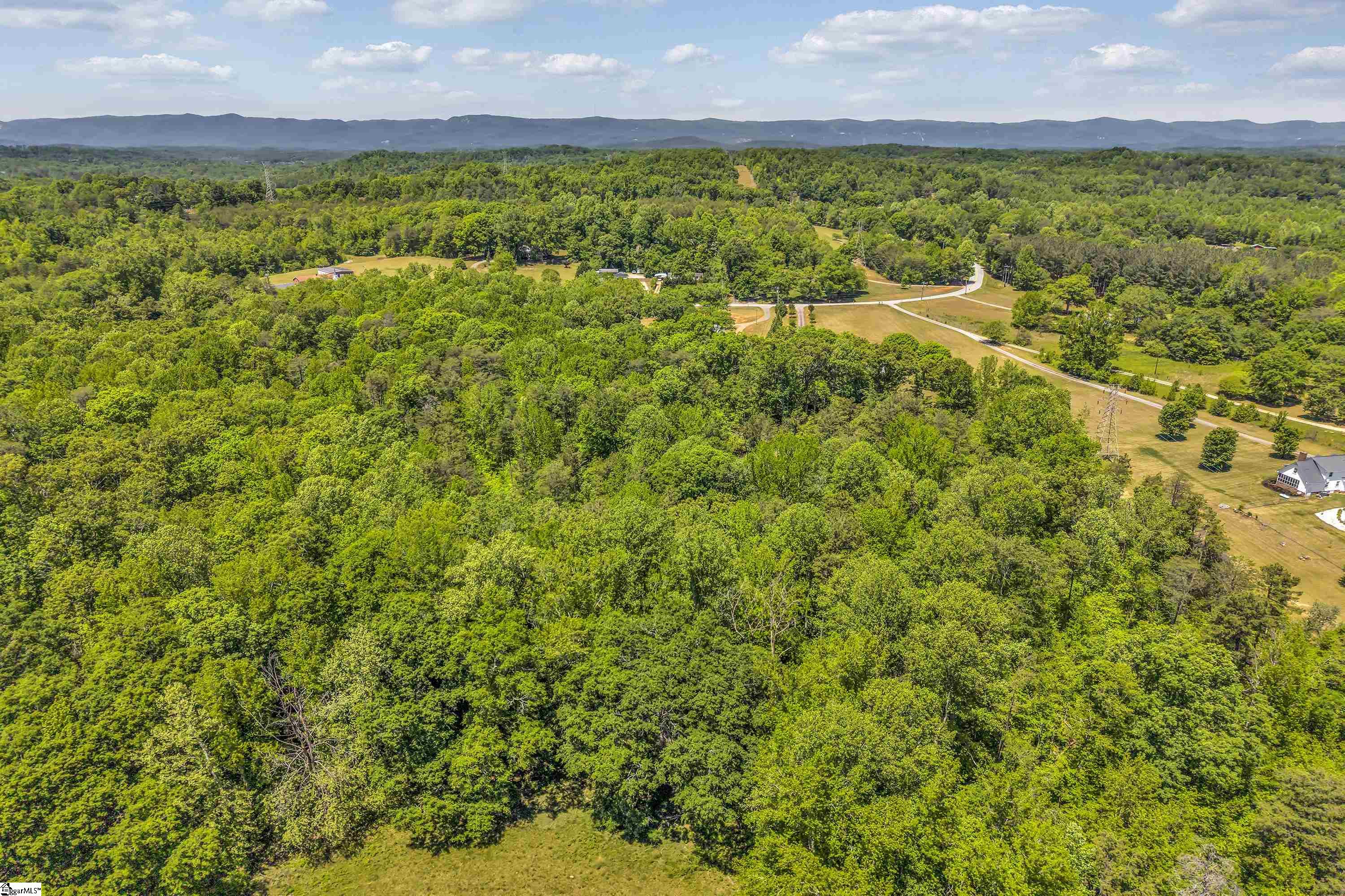 635 Dacusville Road Marietta, SC 29661 - Photo 8 of 43