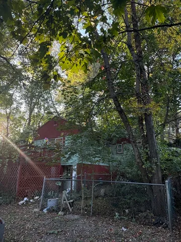 a view of a backyard with plants and large trees