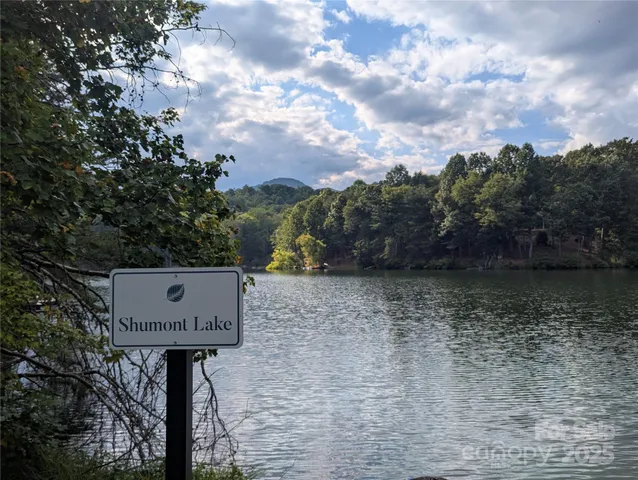 a view of a lake with a mountain