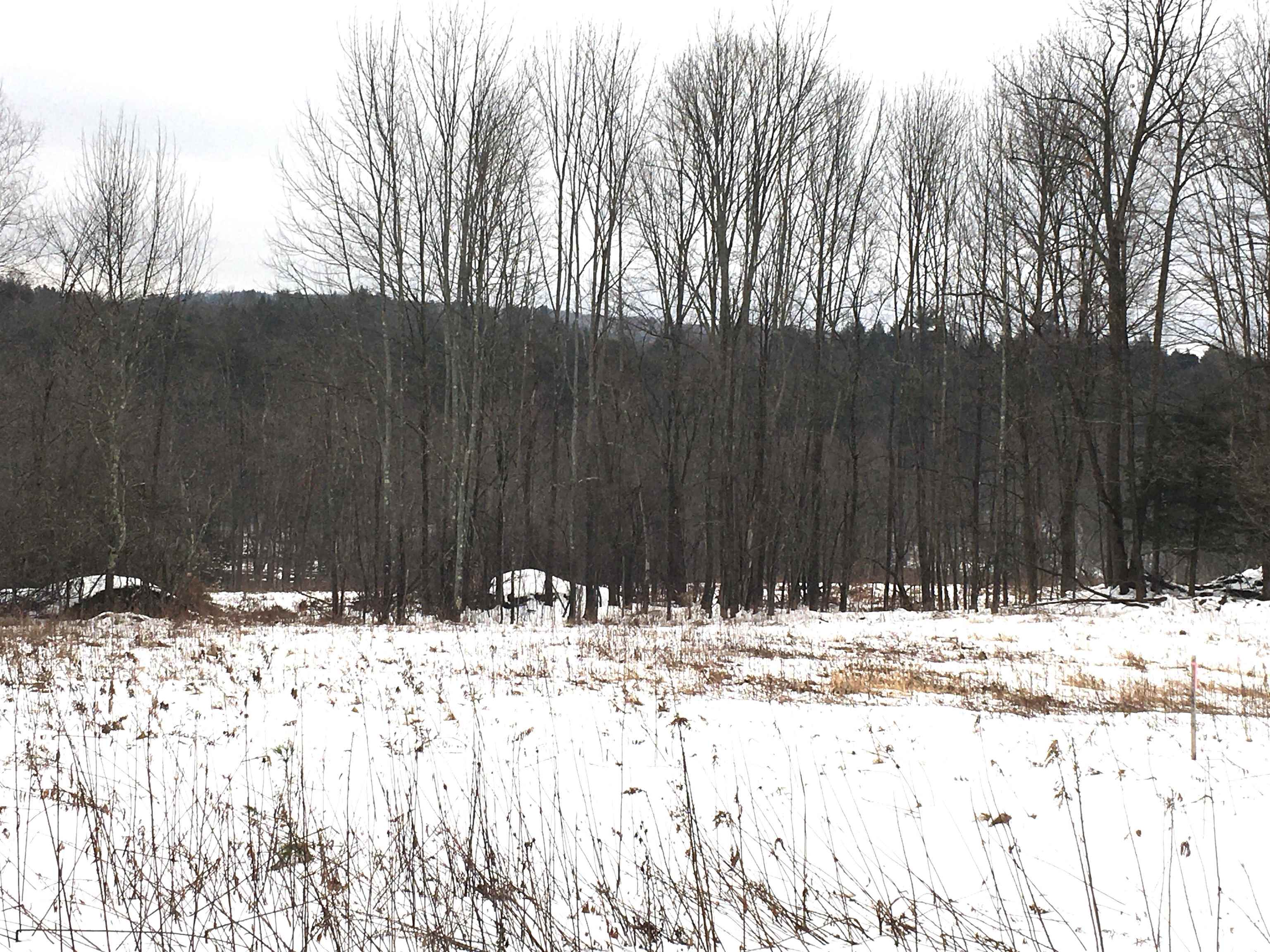 Lot 4 Mcnall Road Fairfax, VT 05454 - Photo 5 of 6 Gallery Image 5