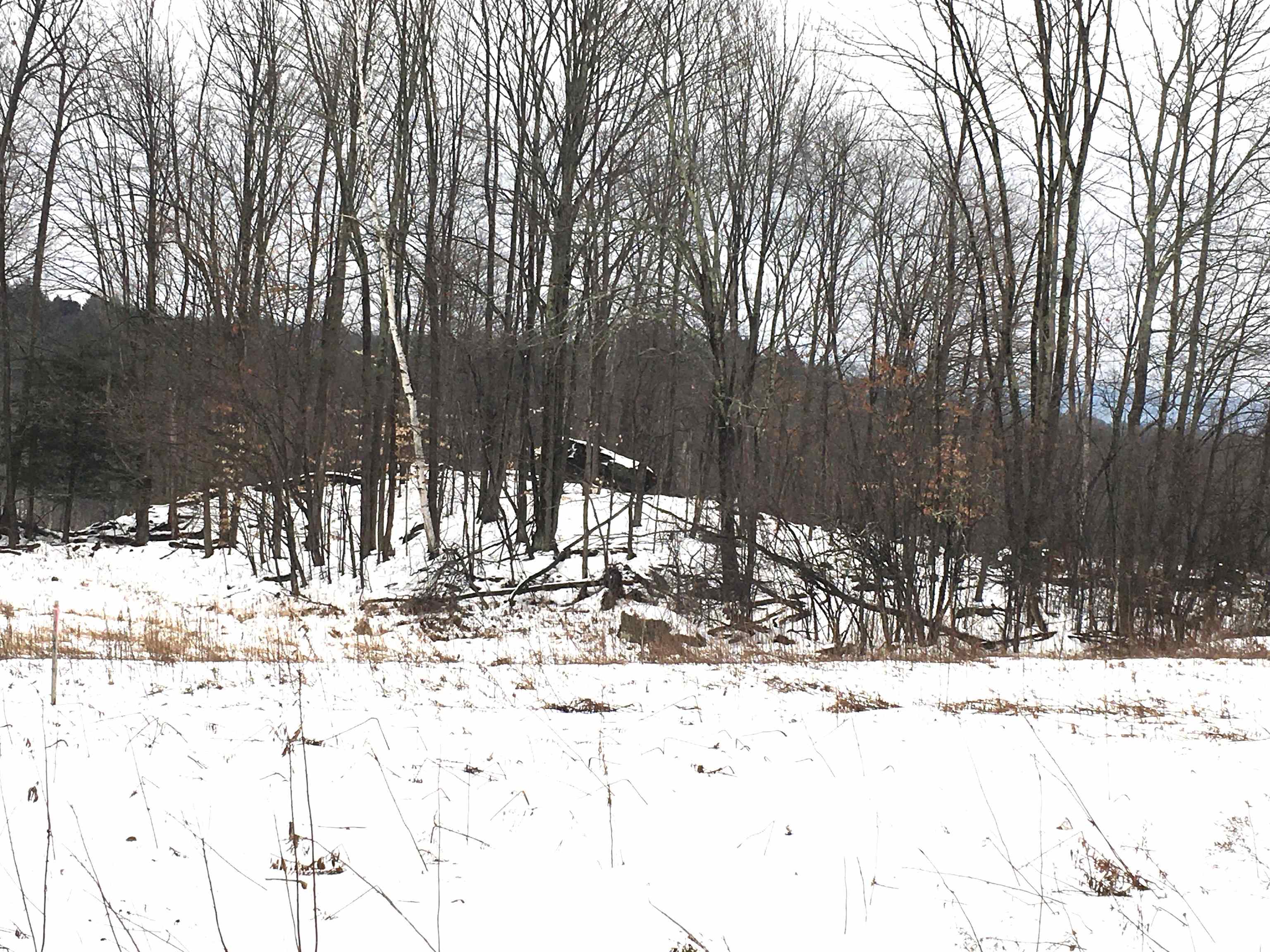 Lot 4 Mcnall Road Fairfax, VT 05454 - Photo 6 of 6 Gallery Image 6