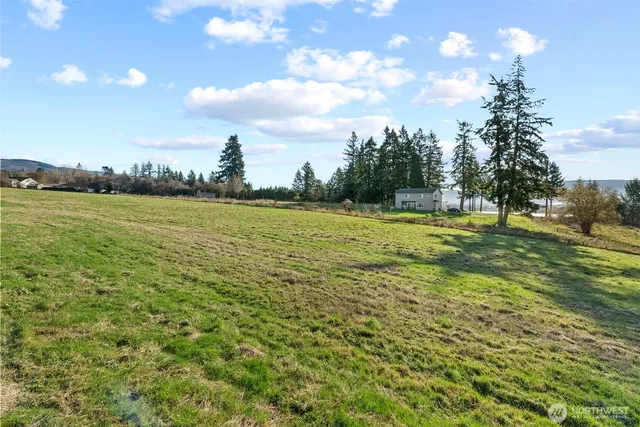 a view of a field with an ocean