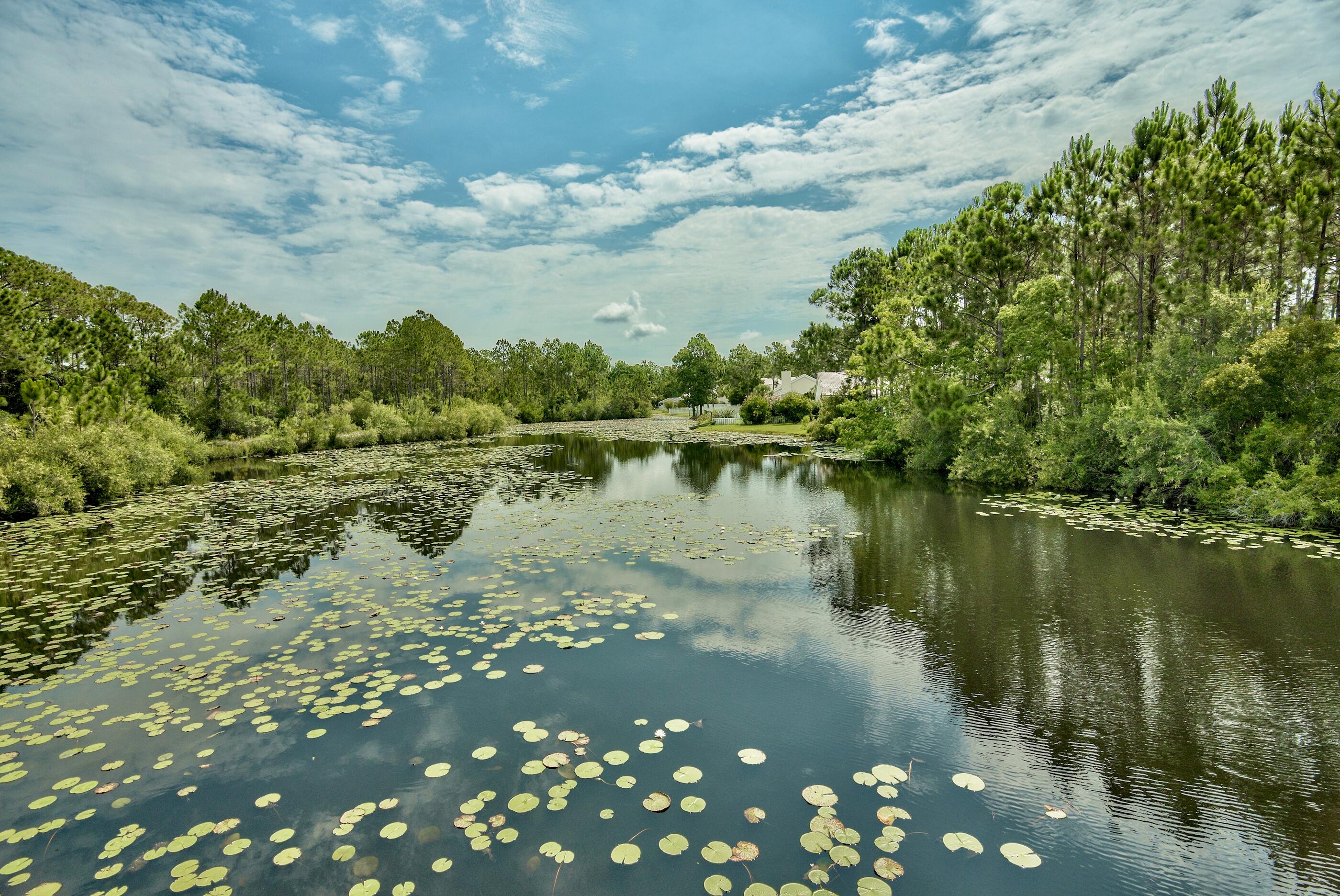 231 Somerset Bridge Road, Unit 2107 Santa Rosa Beach, FL 32459 - Photo 25 of 47 a view of lake