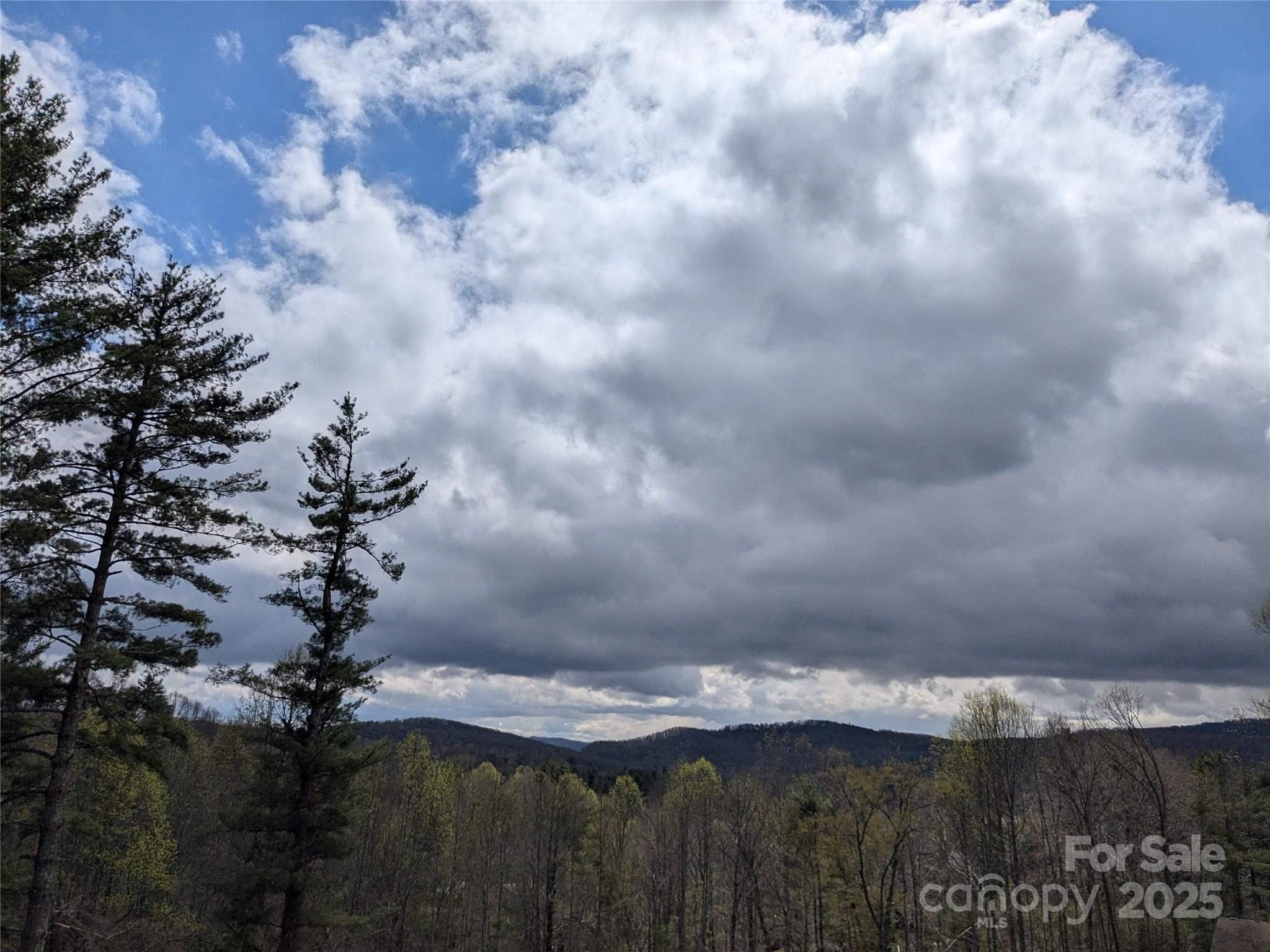 92 Branch Road Spruce Pine, NC 28777 - Photo 42 of 42