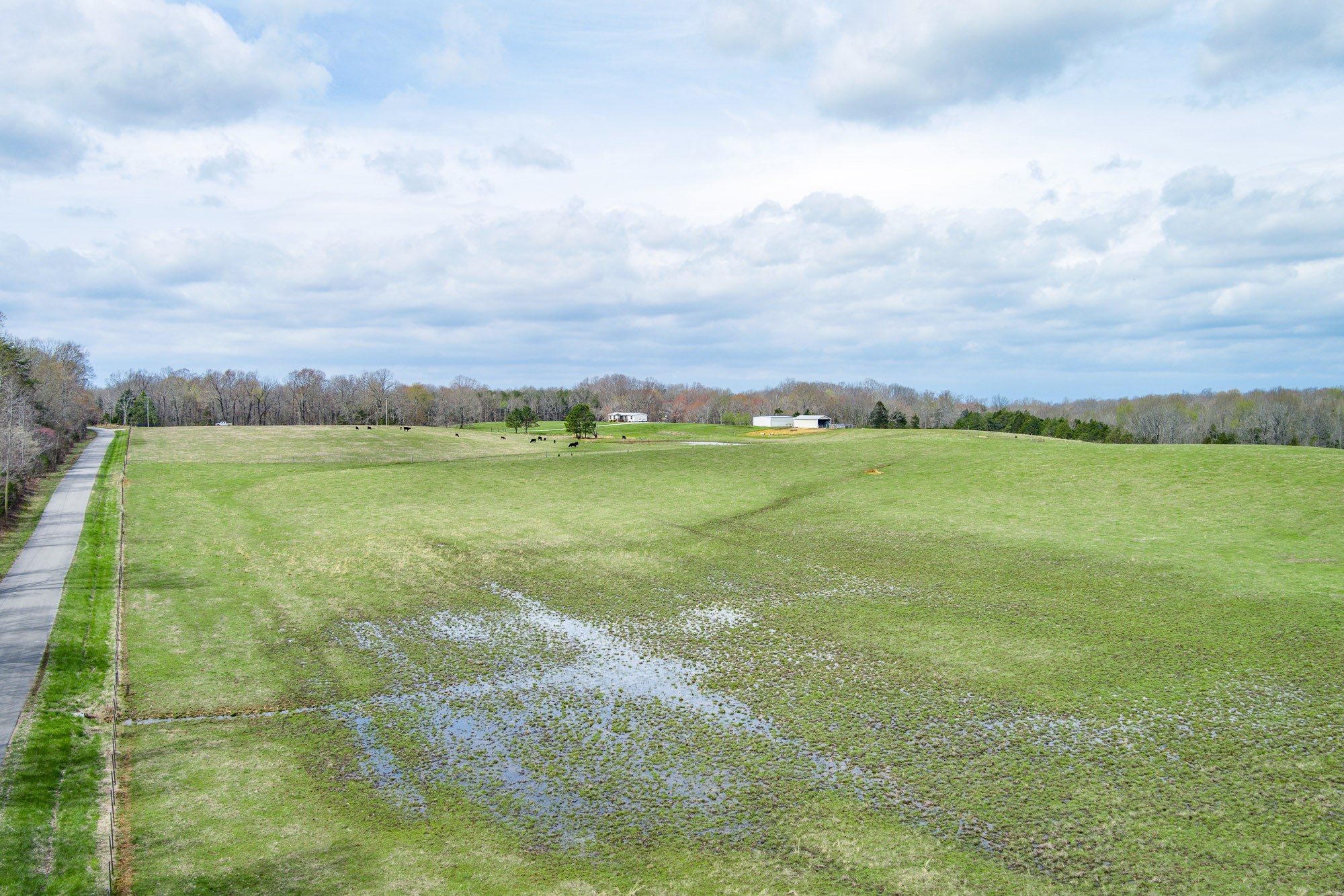 0 Roberts Cemetery Road Walling, TN 38587 - Photo 6 of 8 Gallery Image 6