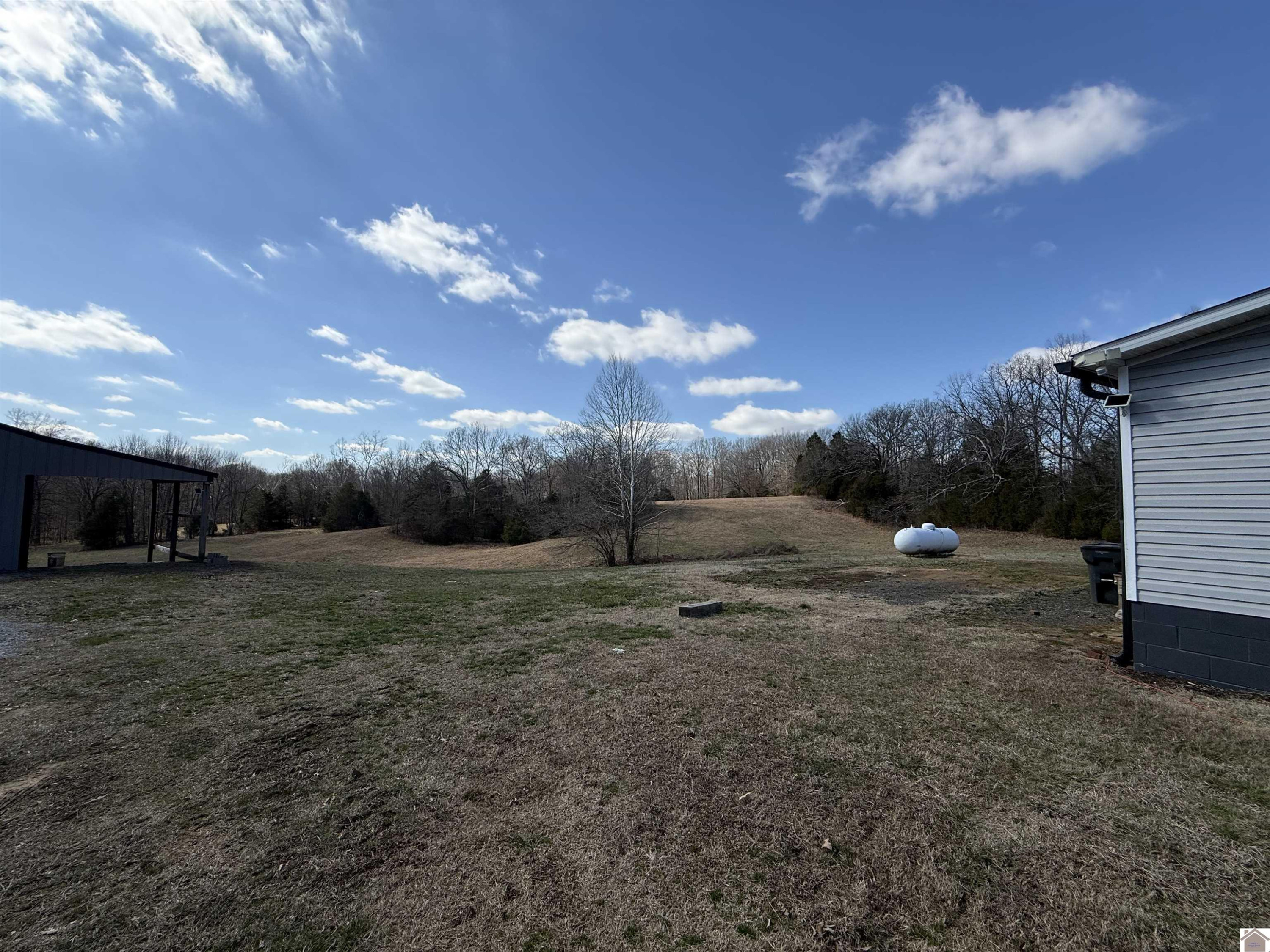 111 Vincent Road, Unit 111 ALICE RD Fulton, KY 42041 - Photo 16 of 24 Photo 16