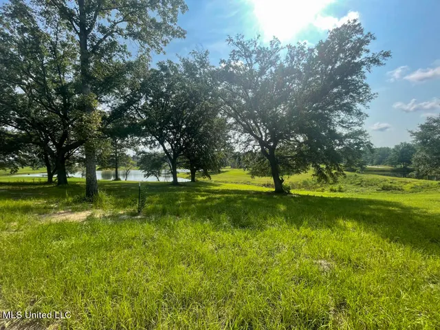 $60,208 | Lot 16 Gracie's Way, Lucedale, MS 39452