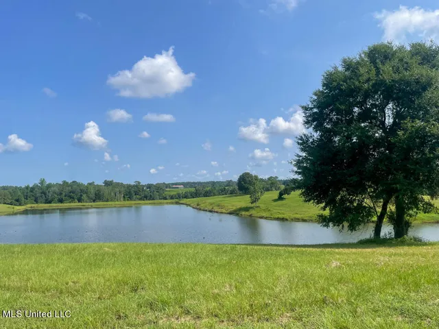 $60,208 | Lot 16 Gracie's Way, Lucedale, MS 39452