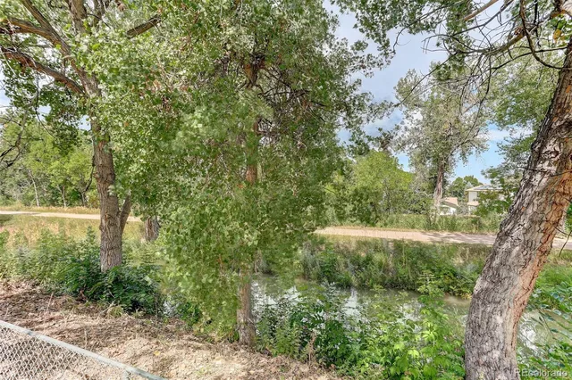 a view of a garden with plants and a large tree