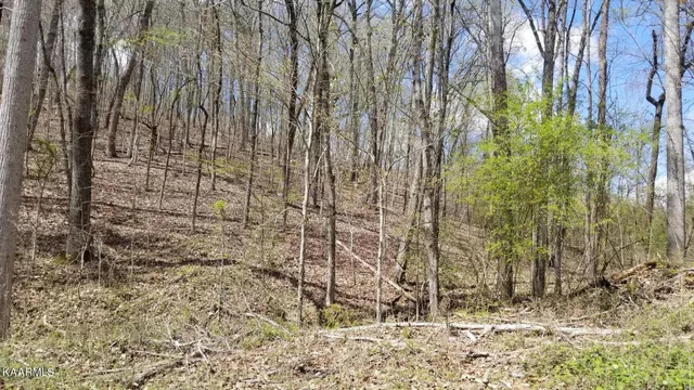 $7,000 | Lot 286 Maple Drive, Spring City, TN 37381