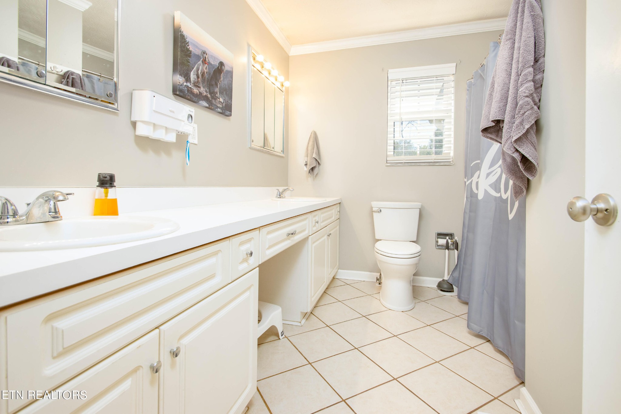 488 Raccoon Valley Road Powell, TN 37849 - Photo 11 of 24 a bathroom with a sink a toilet and a window
