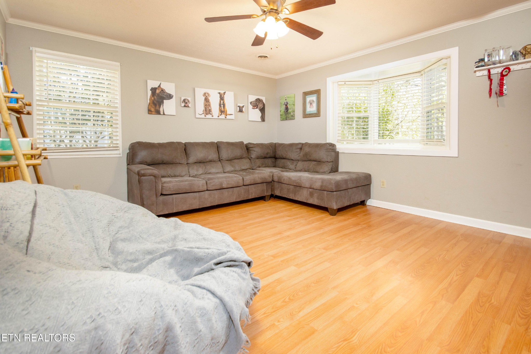 488 Raccoon Valley Road Powell, TN 37849 - Photo 5 of 24 a living room with furniture and a large window