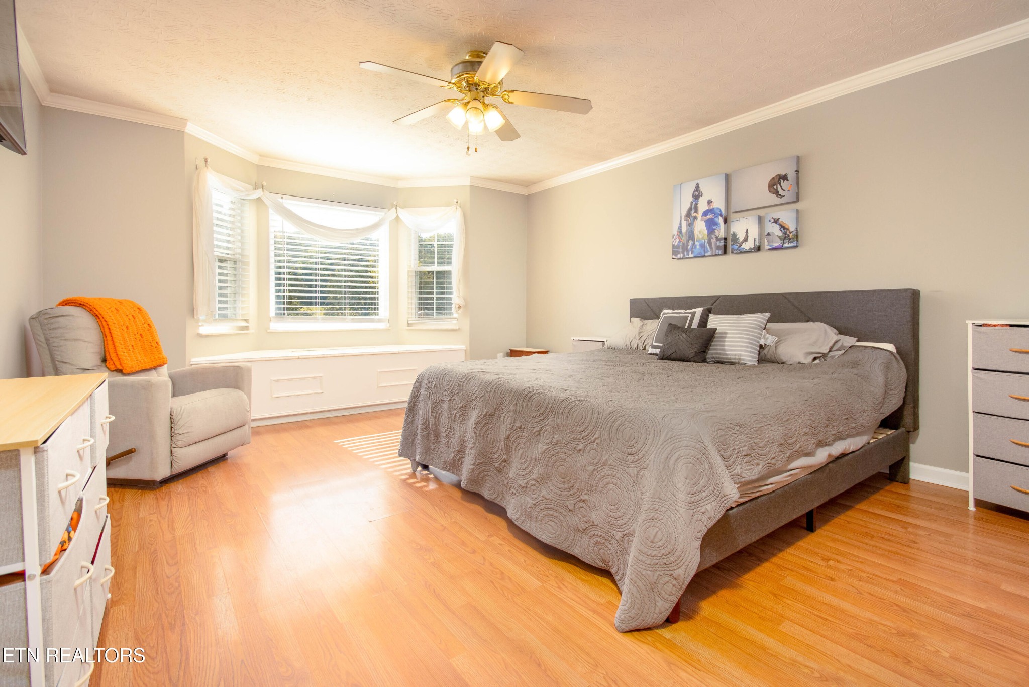 488 Raccoon Valley Road Powell, TN 37849 - Photo 8 of 24 a bedroom with a bed and wooden floor