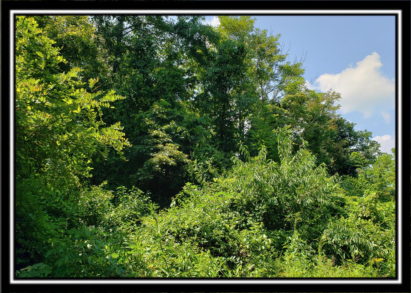 0 Bethel Road, Unit TRACT 4 Patriot, OH 45658 - Photo 24 of 35 CT-24