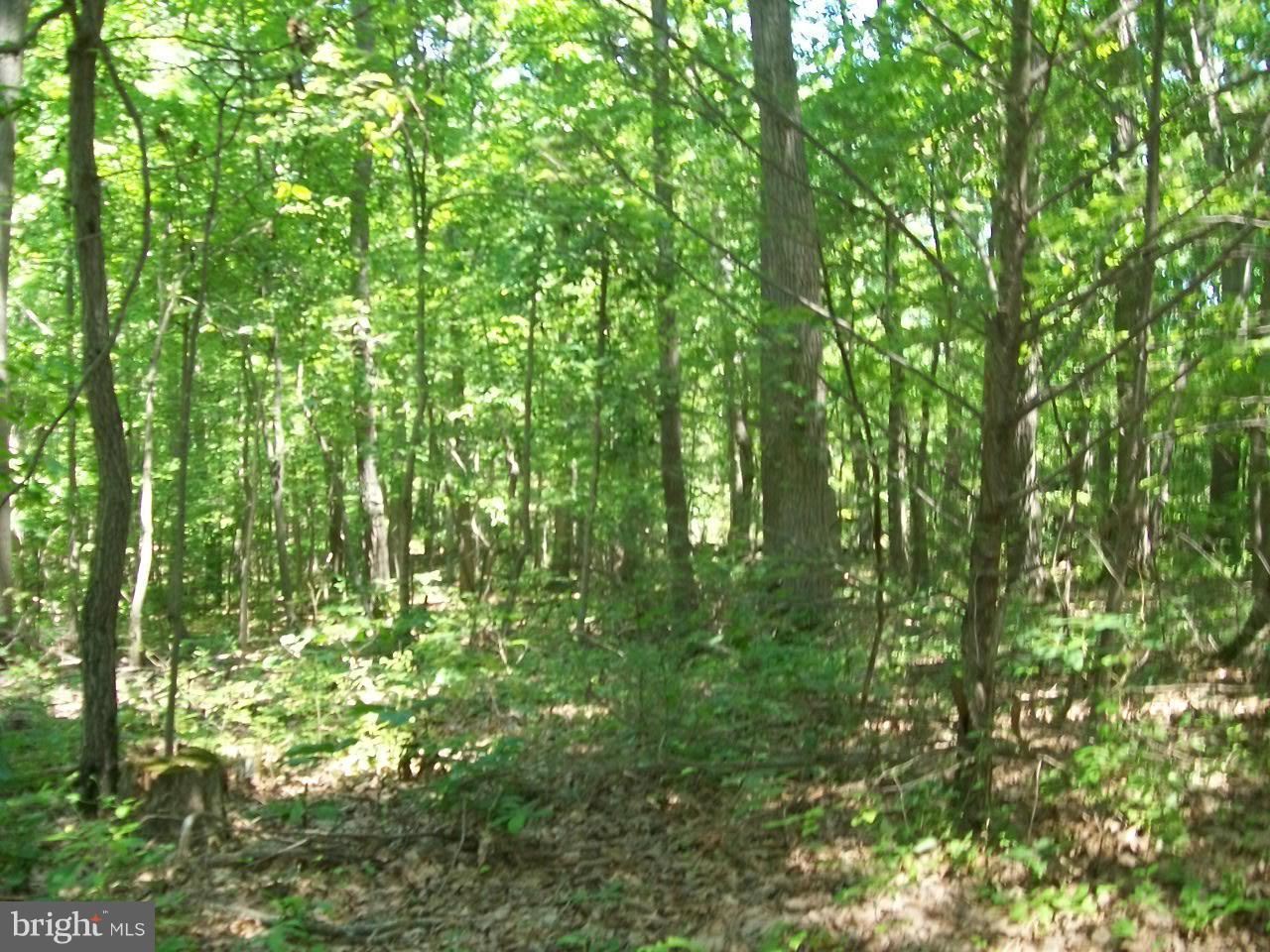 1917 Eden Mill Road Pylesville, MD 21132 - Photo 5 of 5 Exterior (General)
