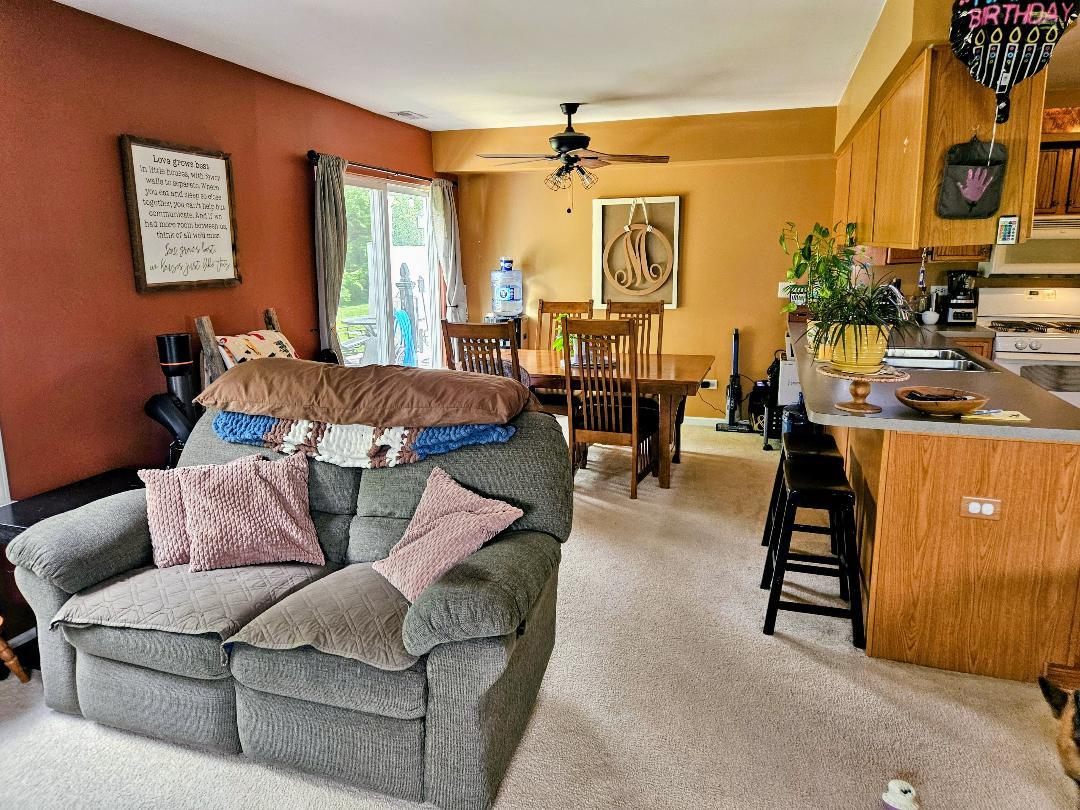 25159 Faraday Road Manhattan, IL 60442 - Photo 5 of 28 a living room with furniture and a large window