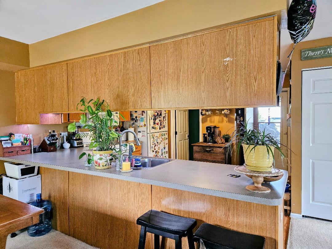 25159 Faraday Road Manhattan, IL 60442 - Photo 9 of 28 a dining room with furniture and a potted plant