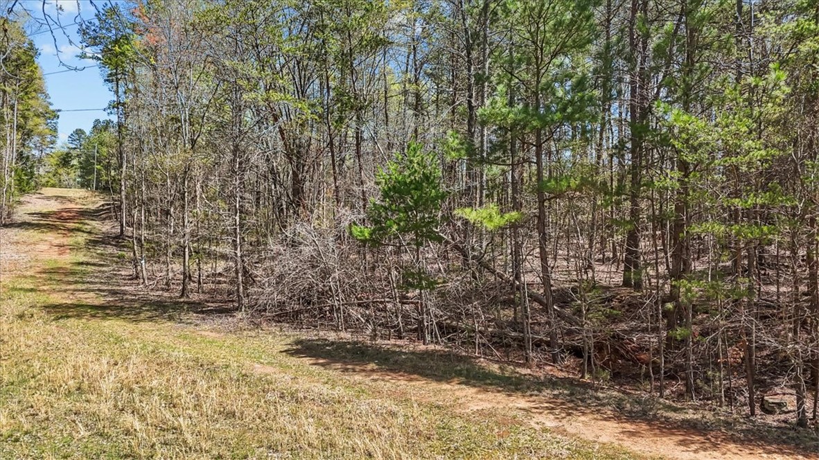 250 Meldau Road Seneca, SC 29678 - Photo 3 of 13