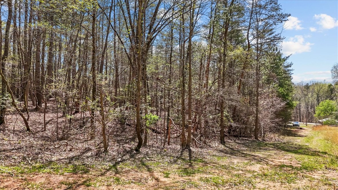 250 Meldau Road Seneca, SC 29678 - Photo 6 of 13