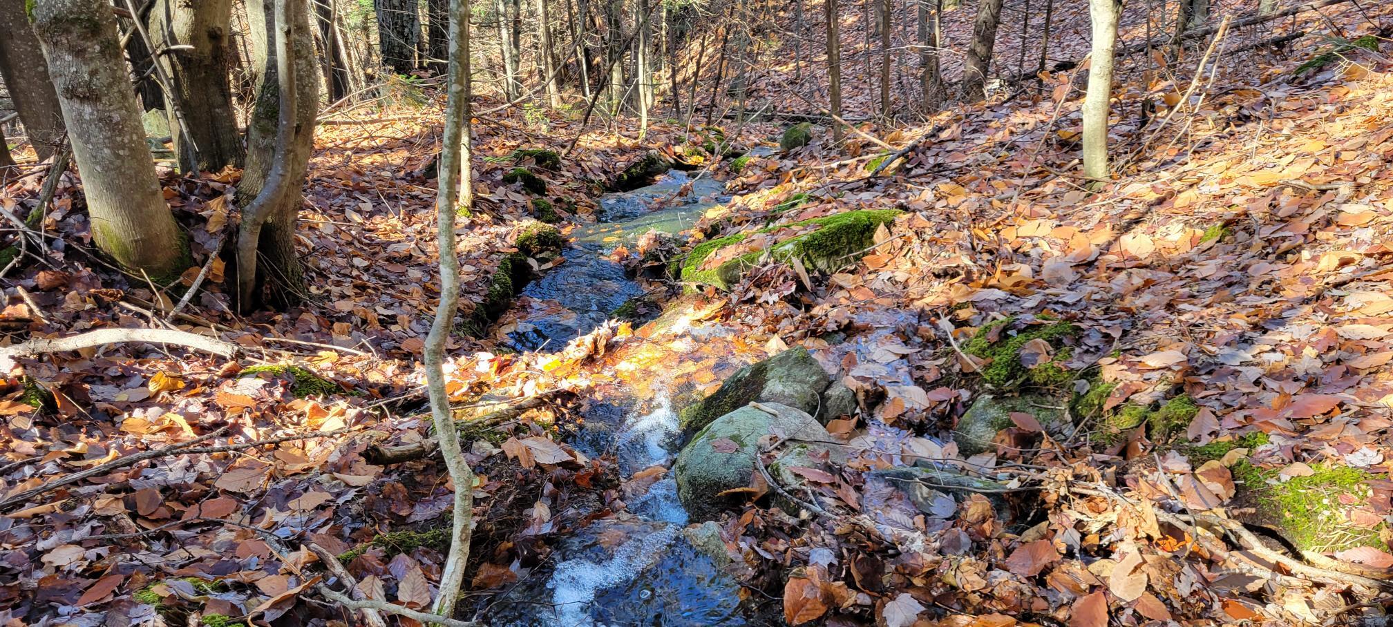 0 High Street Peru, ME 04290 - Photo 30 of 67 Seasonal stream