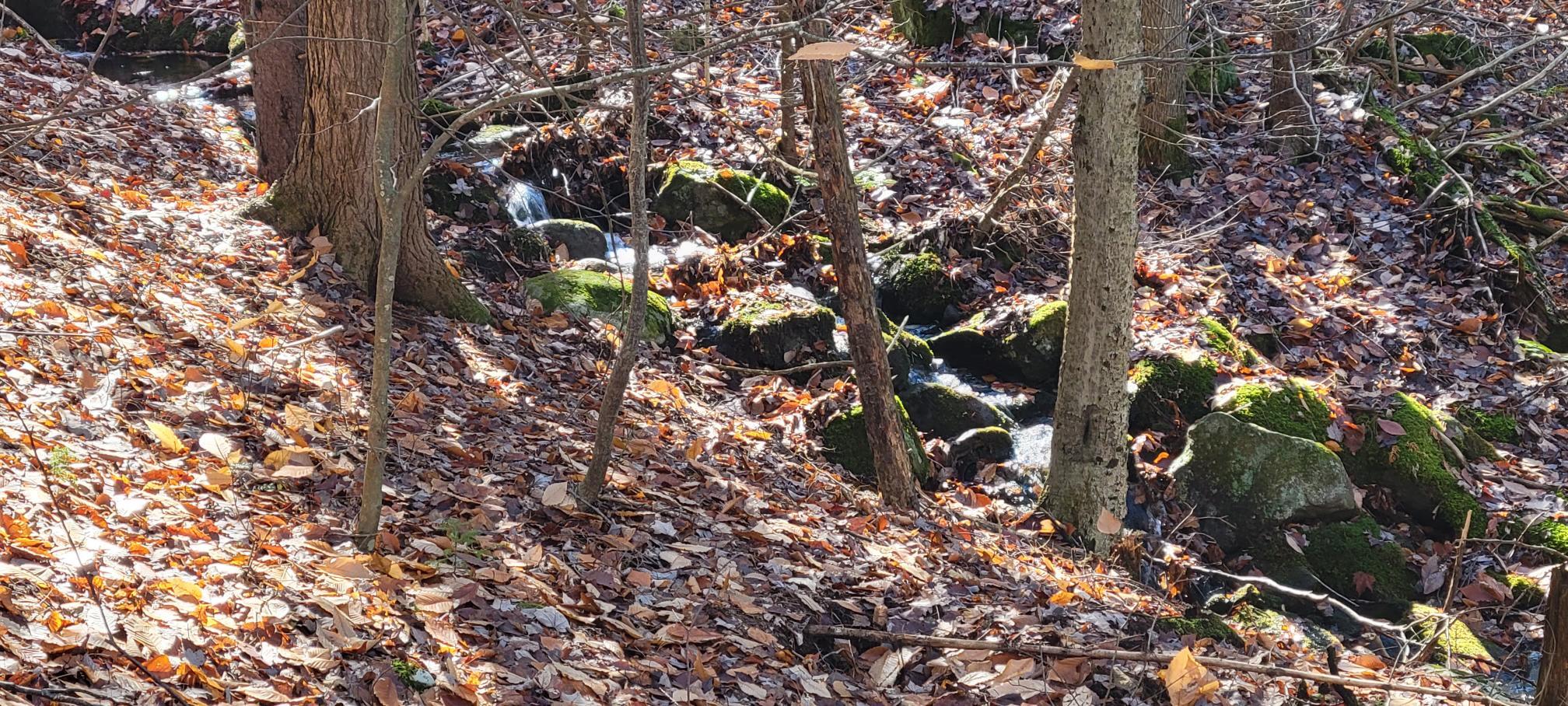 0 High Street Peru, ME 04290 - Photo 31 of 67 Seasonal stream