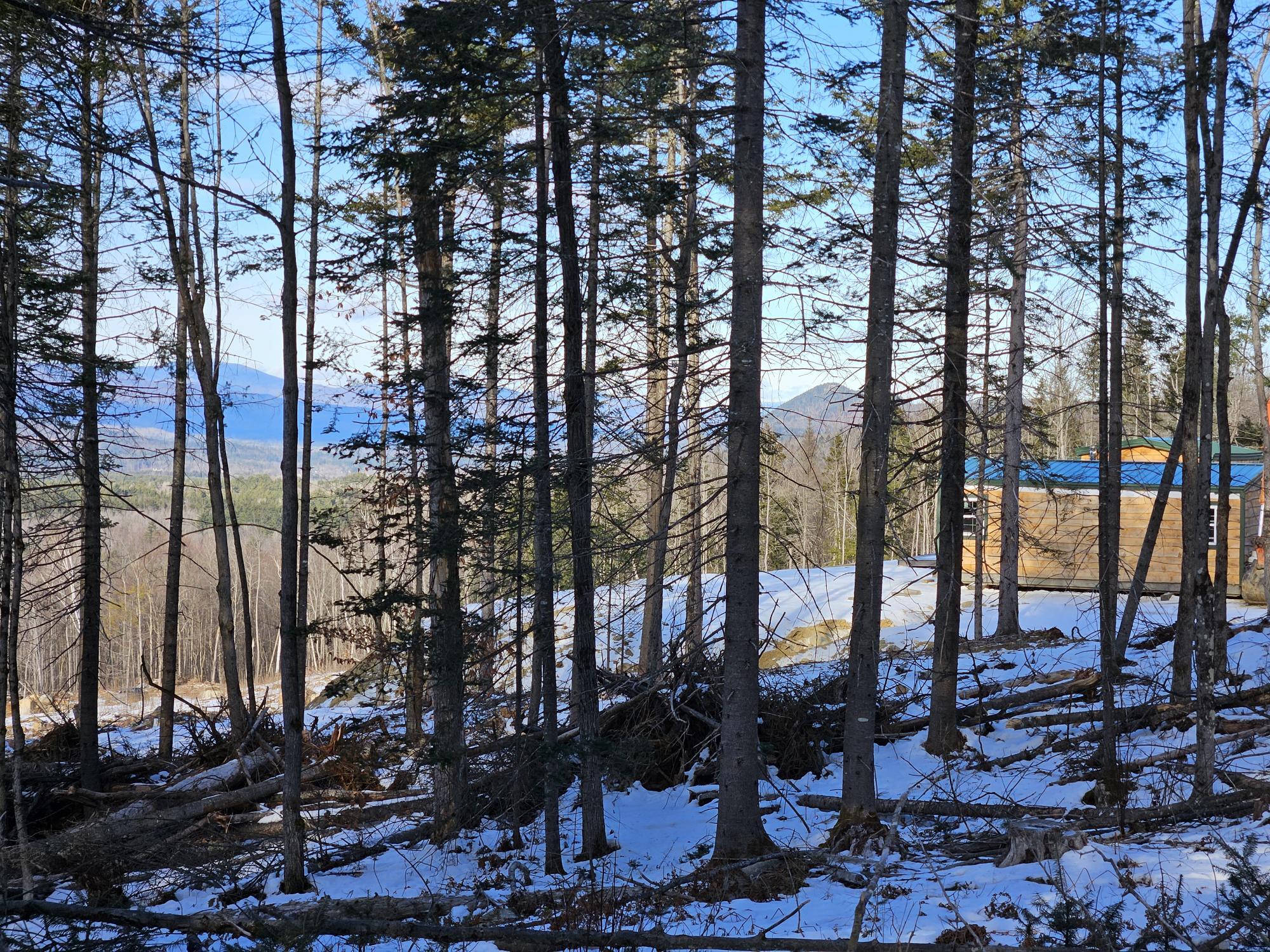 0 High Street Peru, ME 04290 - Photo 45 of 67 Camp with Mt Blue in distance