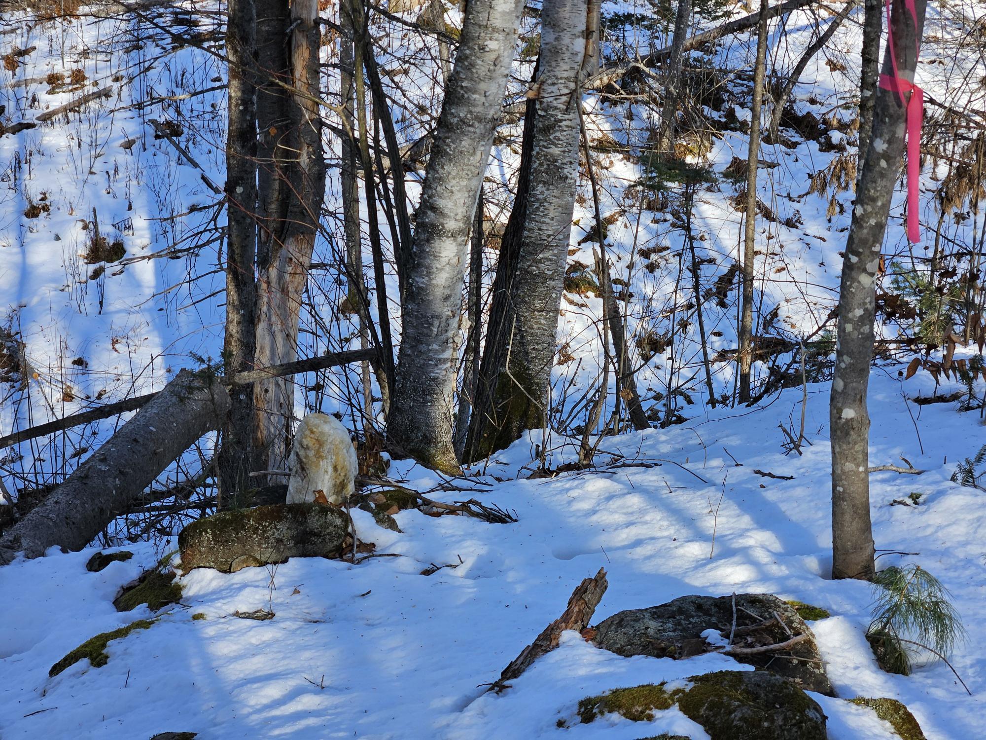 0 High Street Peru, ME 04290 - Photo 46 of 67 Boundary line