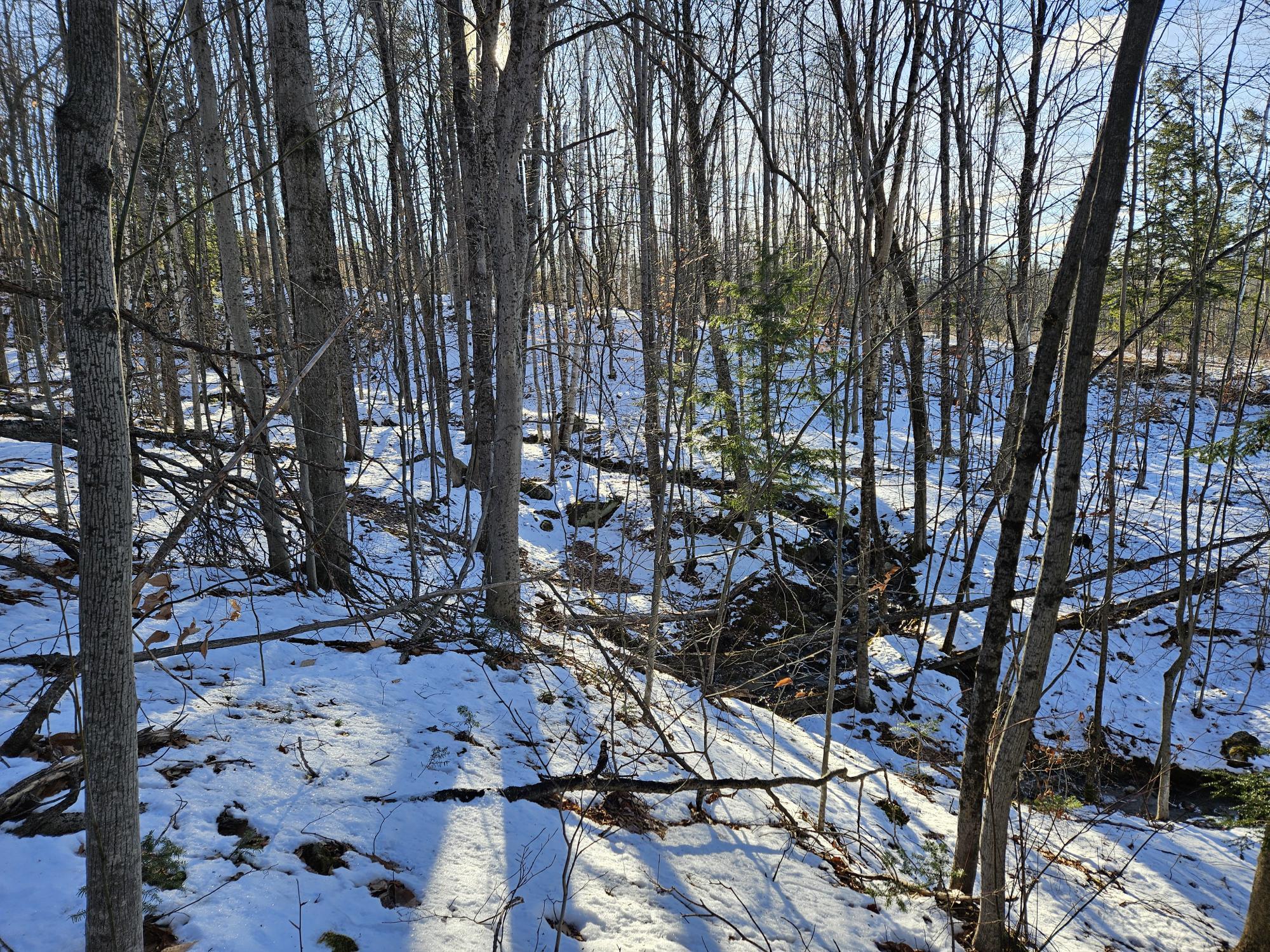 0 High Street Peru, ME 04290 - Photo 49 of 67 Lot 2