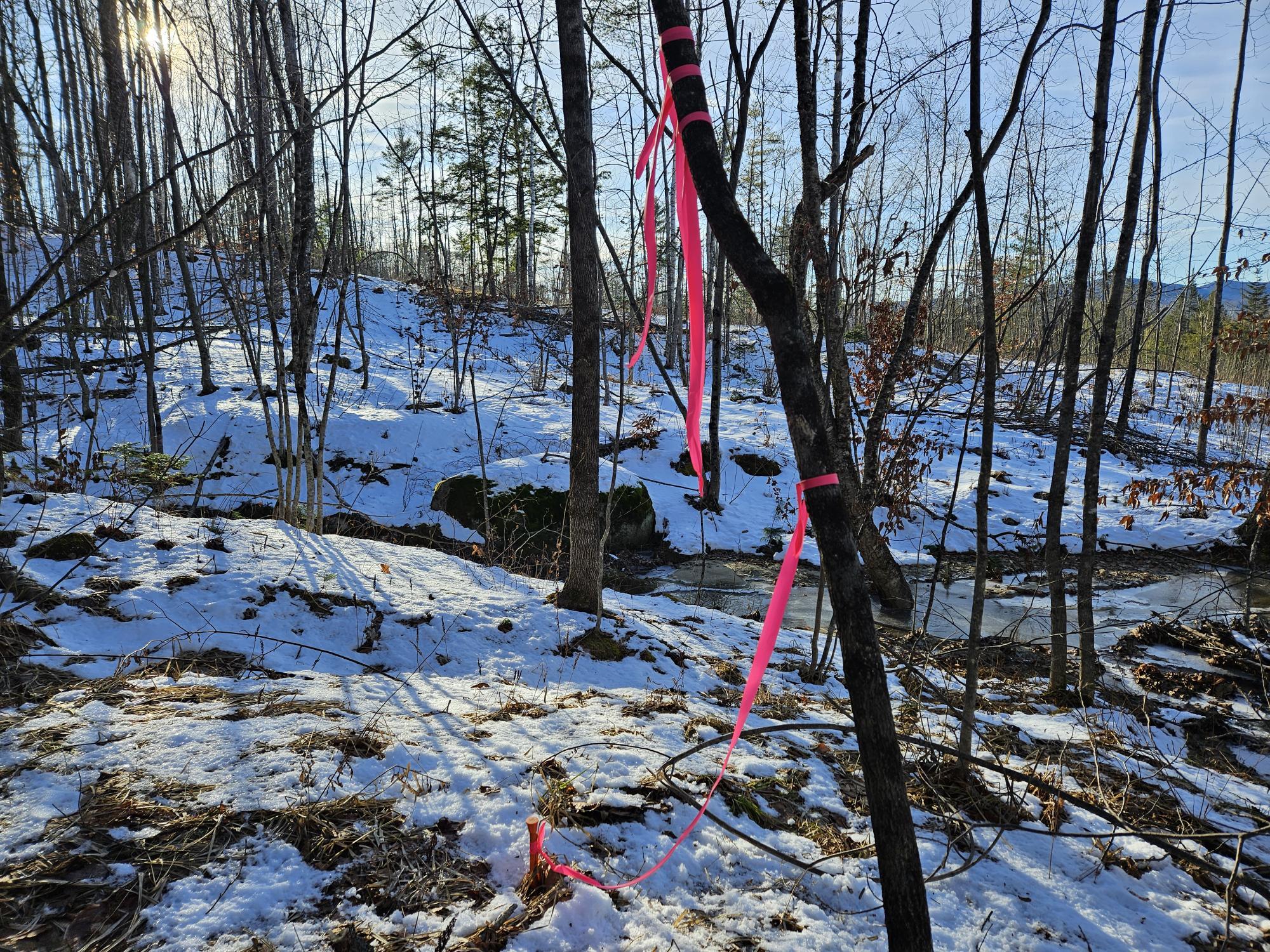 0 High Street Peru, ME 04290 - Photo 55 of 67 Property corner pin