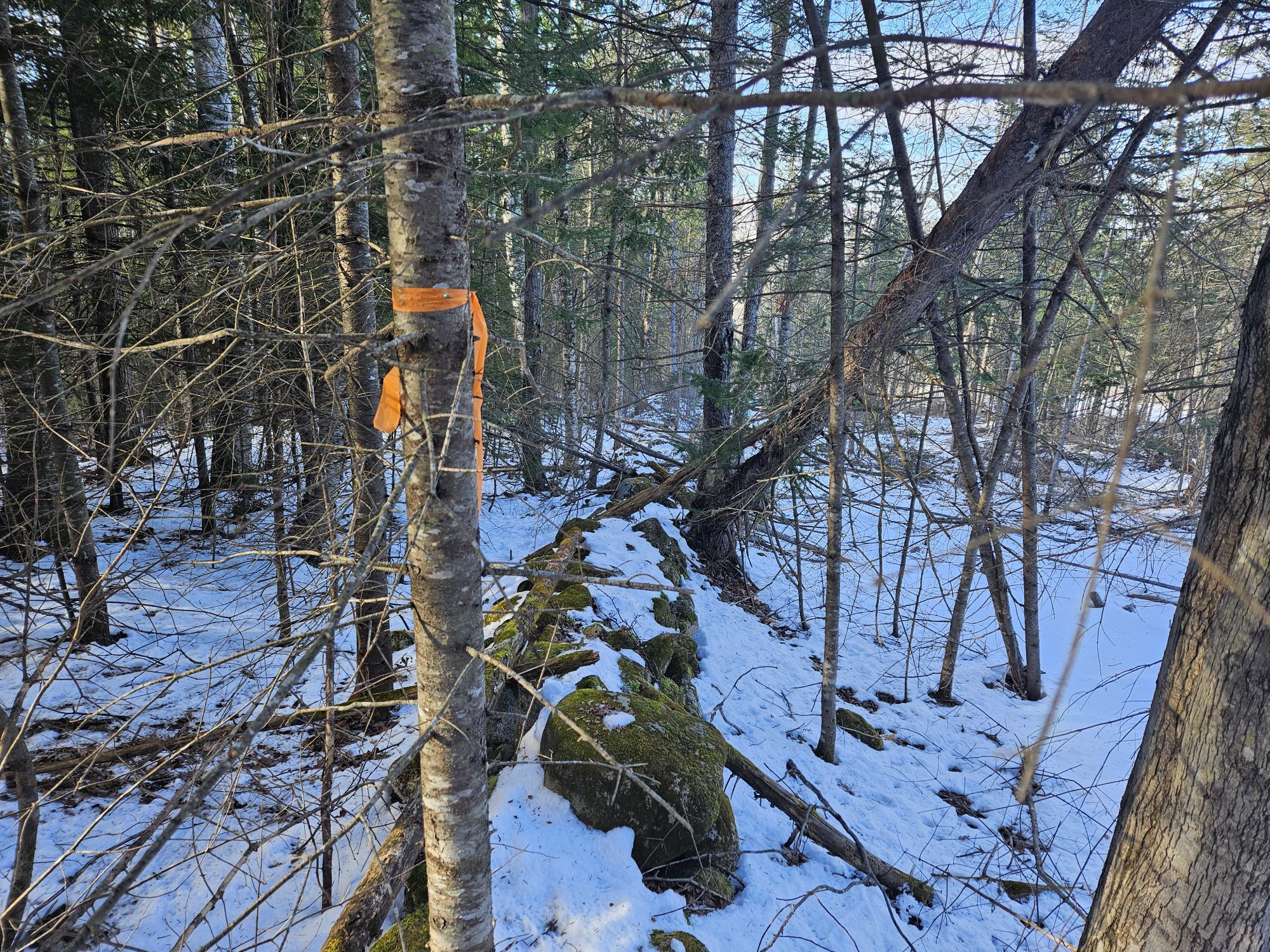 0 High Street Peru, ME 04290 - Photo 59 of 67 Stone wall boundary