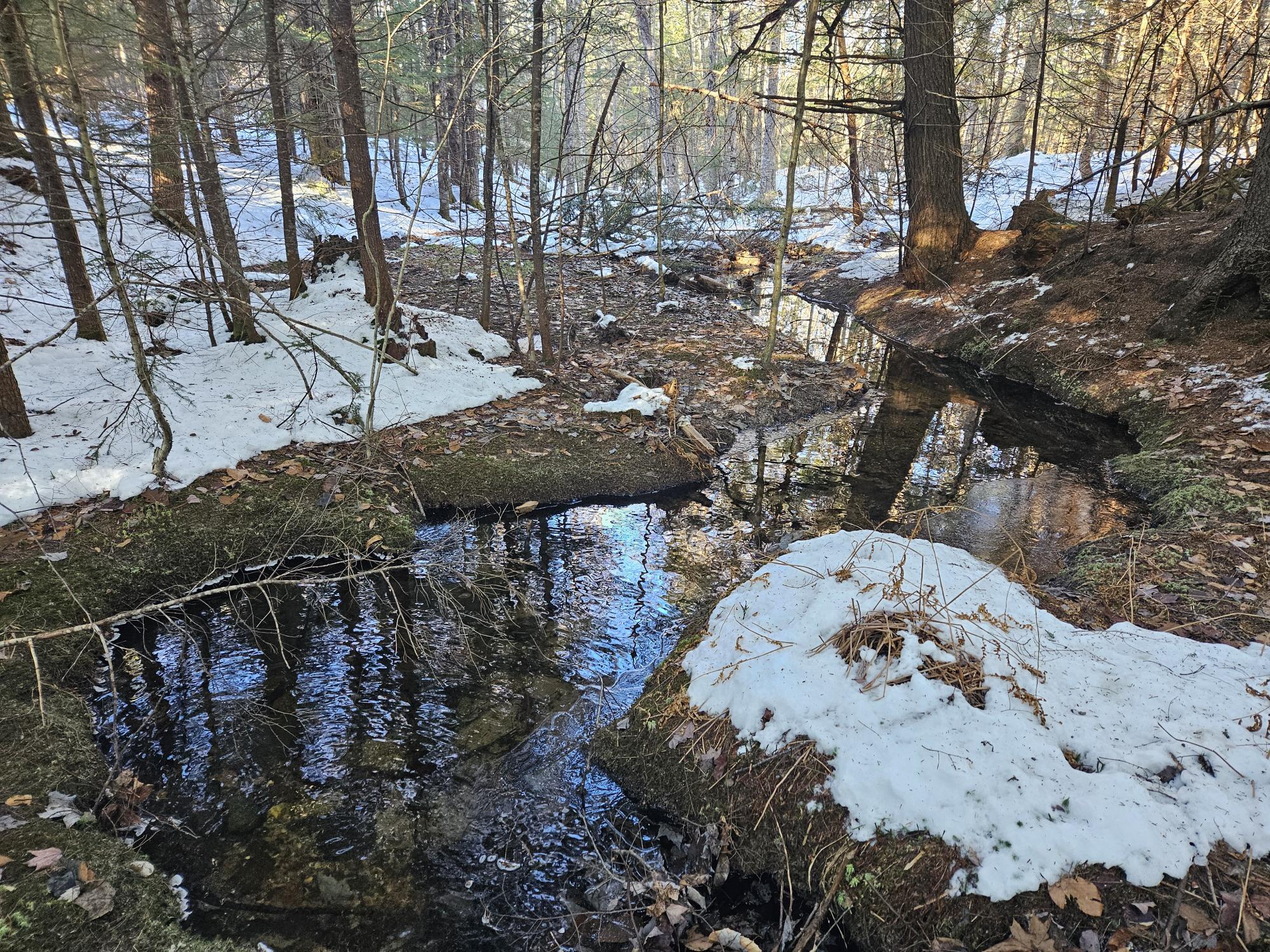 0 High Street Peru, ME 04290 - Photo 62 of 67 Stream southeast area