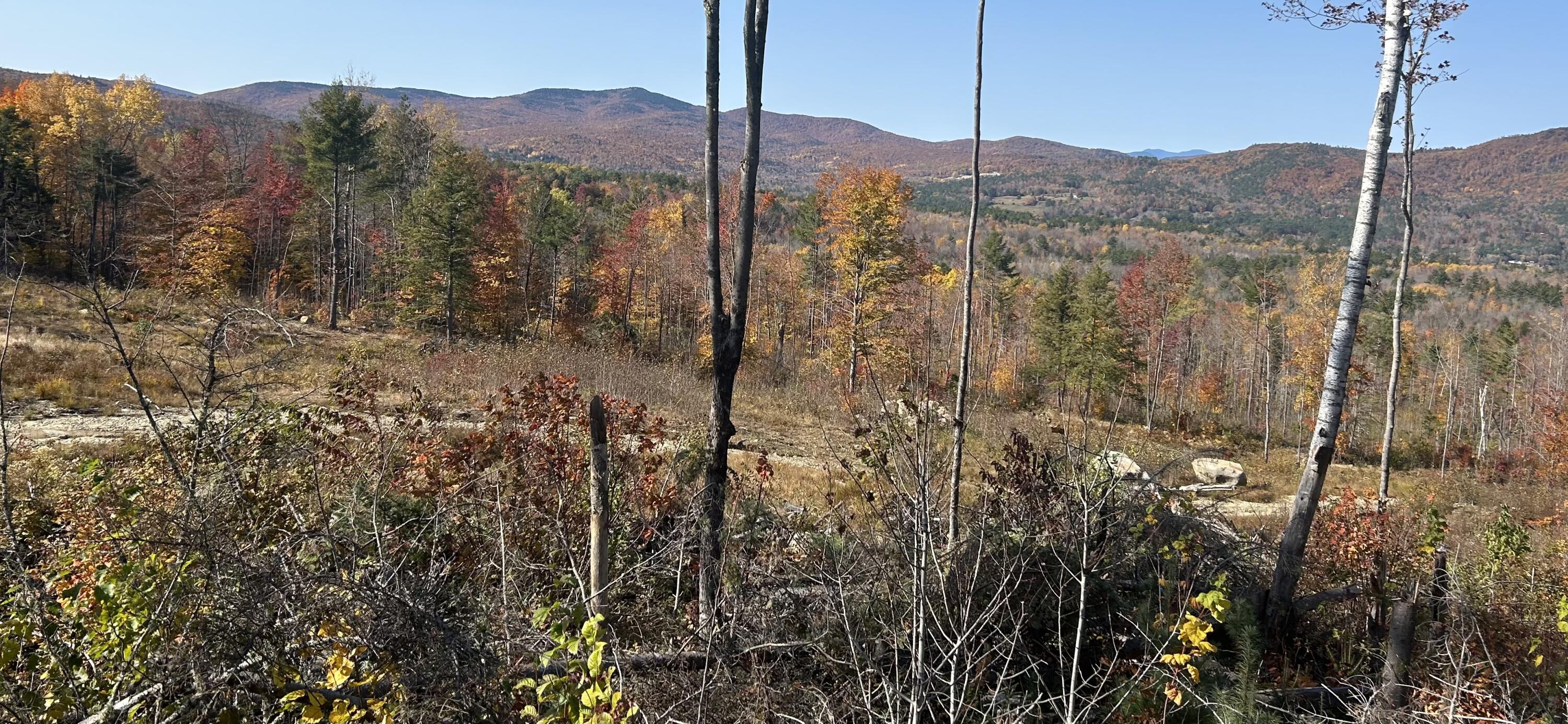 0 High Street Peru, ME 04290 - Photo 7 of 67 Big views