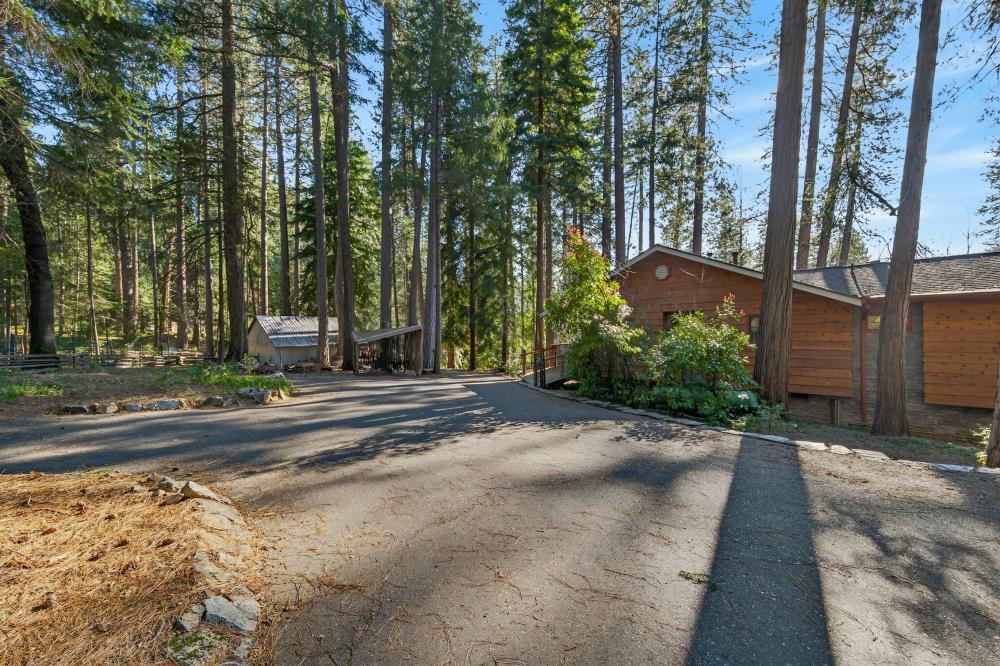 13052 Wood Rose Way Grass Valley, CA 95945 - Photo 42 of 46 a view of a yard with large trees