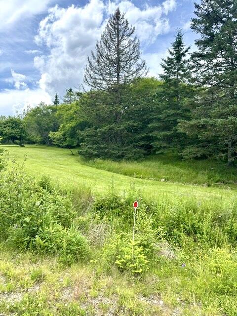 16 Rice Road Harrington, ME 04643 - Photo 19 of 19 IMG_6027