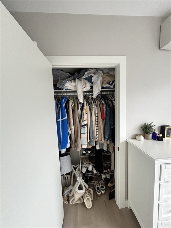 400 West Broadway, Unit 505 Boston, MA 02127 - Photo 14 of 18 a view of walk in closet with clothes and shoes
