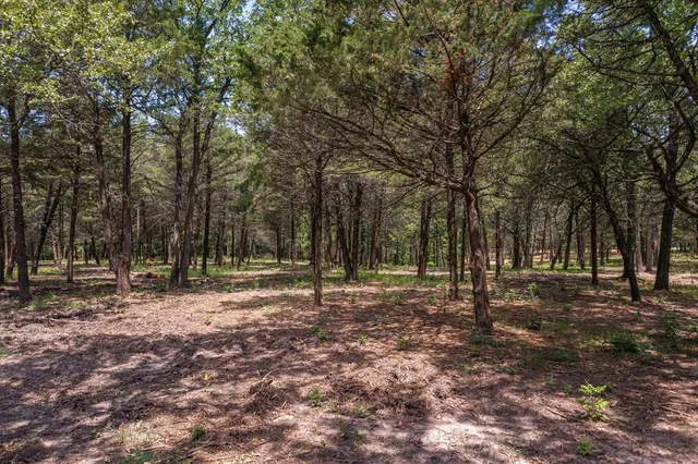 $115,000 | 4423 County Road 3706, Wills Point, TX 75169