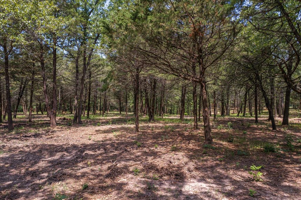 4423 County Road 3706 Wills Point, TX 75169 - Photo 12 of 13 a backyard of a house with trees