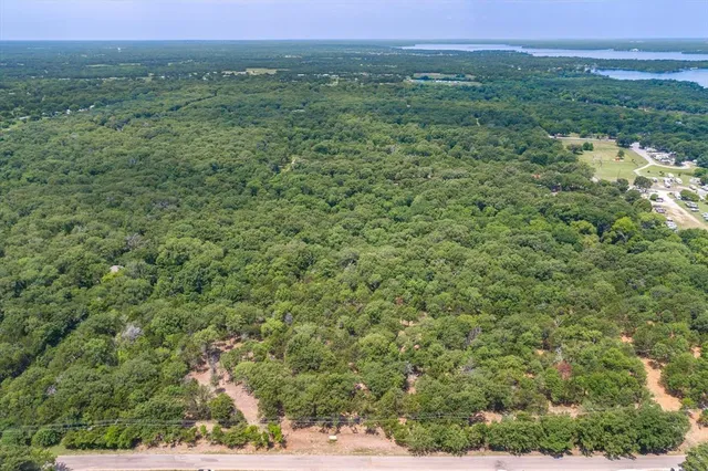 a view of a lush green forest with trees and houses