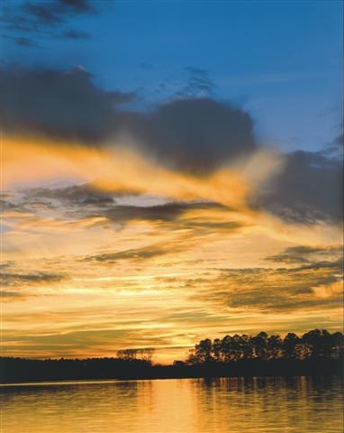 Lot 6 Rhett Drive, Unit TARA McCormick, SC 29835 - Photo 6 of 9