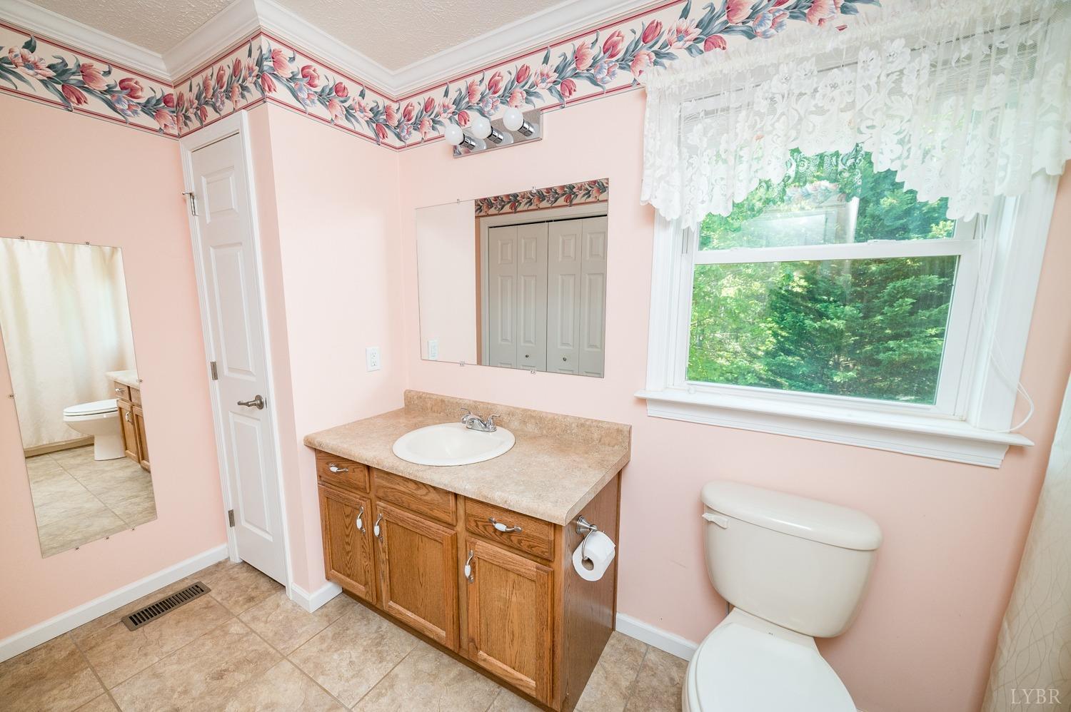 904 Snapps Mill Road Spout Spring, VA 24593 - Photo 29 of 41 a bathroom with a sink a toilet a mirror and a window