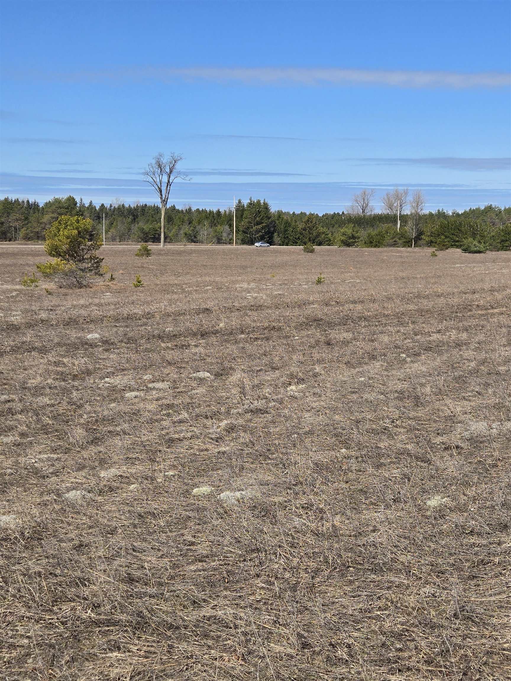 B Johnson Road, Unit LOT: B Mancelona, MI 49659 - Photo 12 of 48