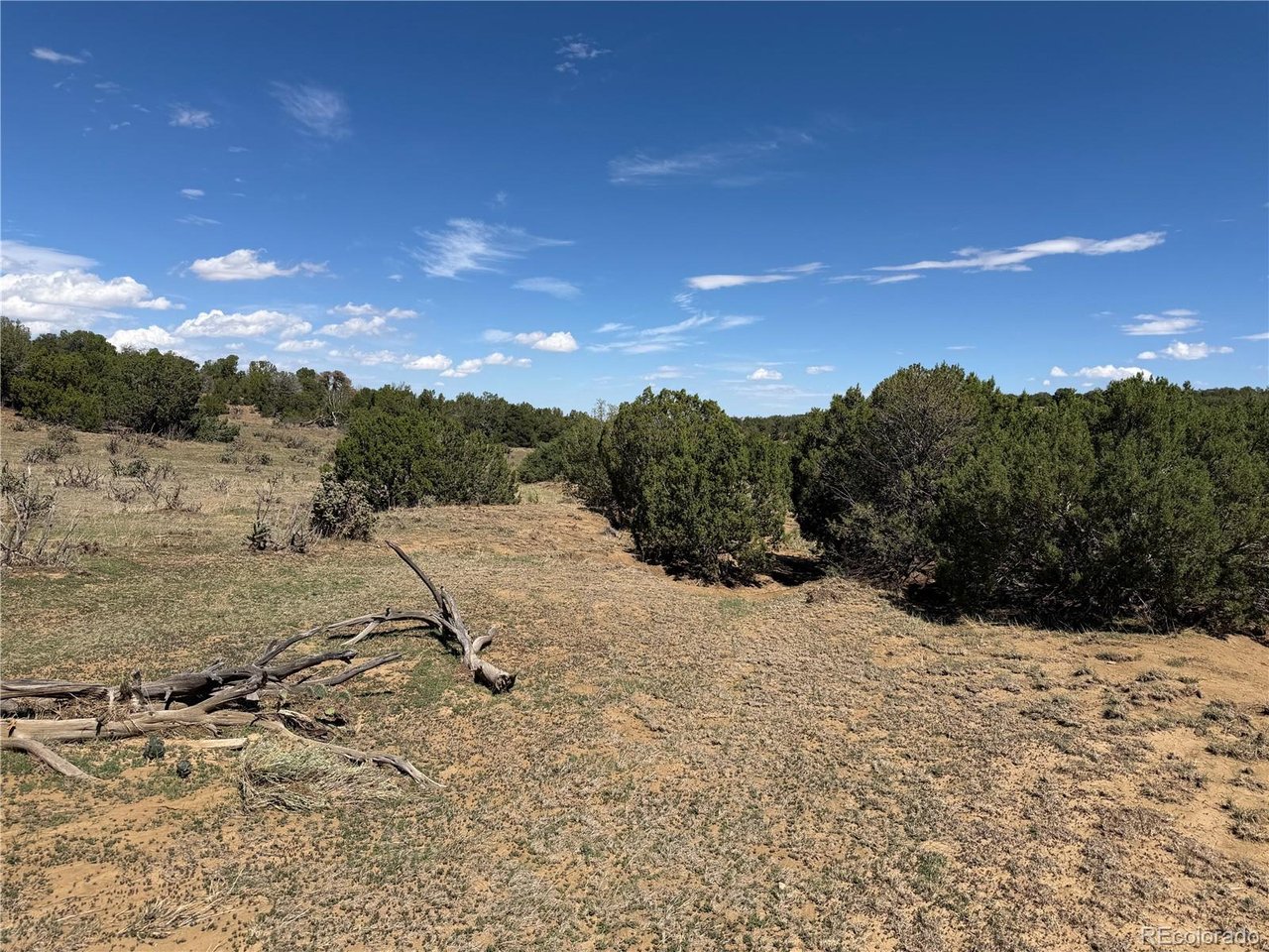 81 Twin Lakes Road Walsenburg, CO 81089 - Photo 25 of 26 Gallery Image 25