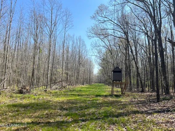 $923,685 | Ms-8, Calhoun City, MS 38916