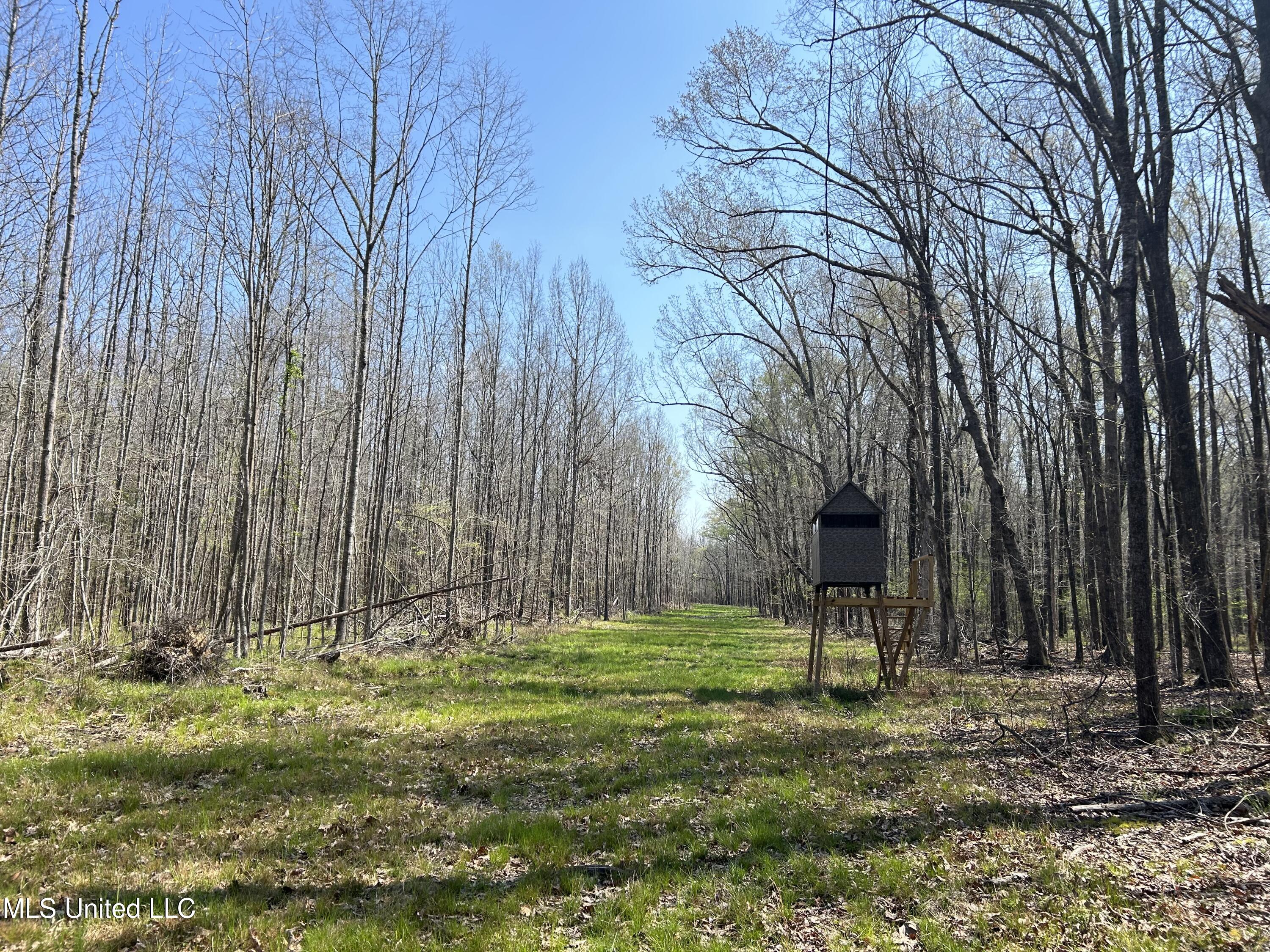 Ms-8 Calhoun City, MS 38916 - Photo 11 of 61 Photo Mar 23 2024, 11 55 16 AM