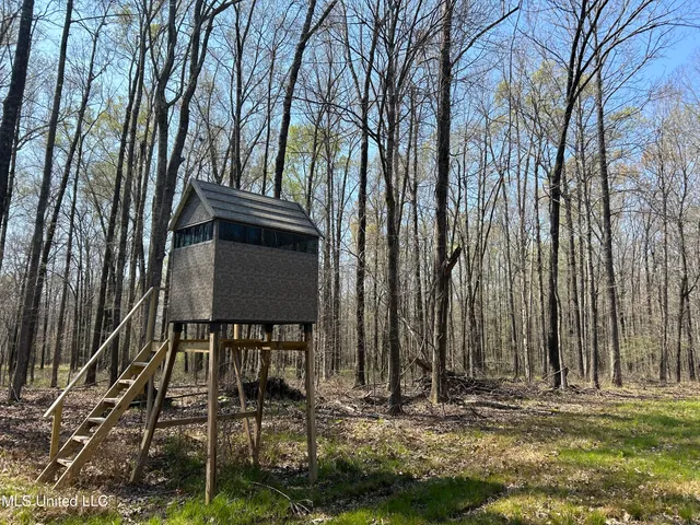 $923,685 | Ms-8, Calhoun City, MS 38916