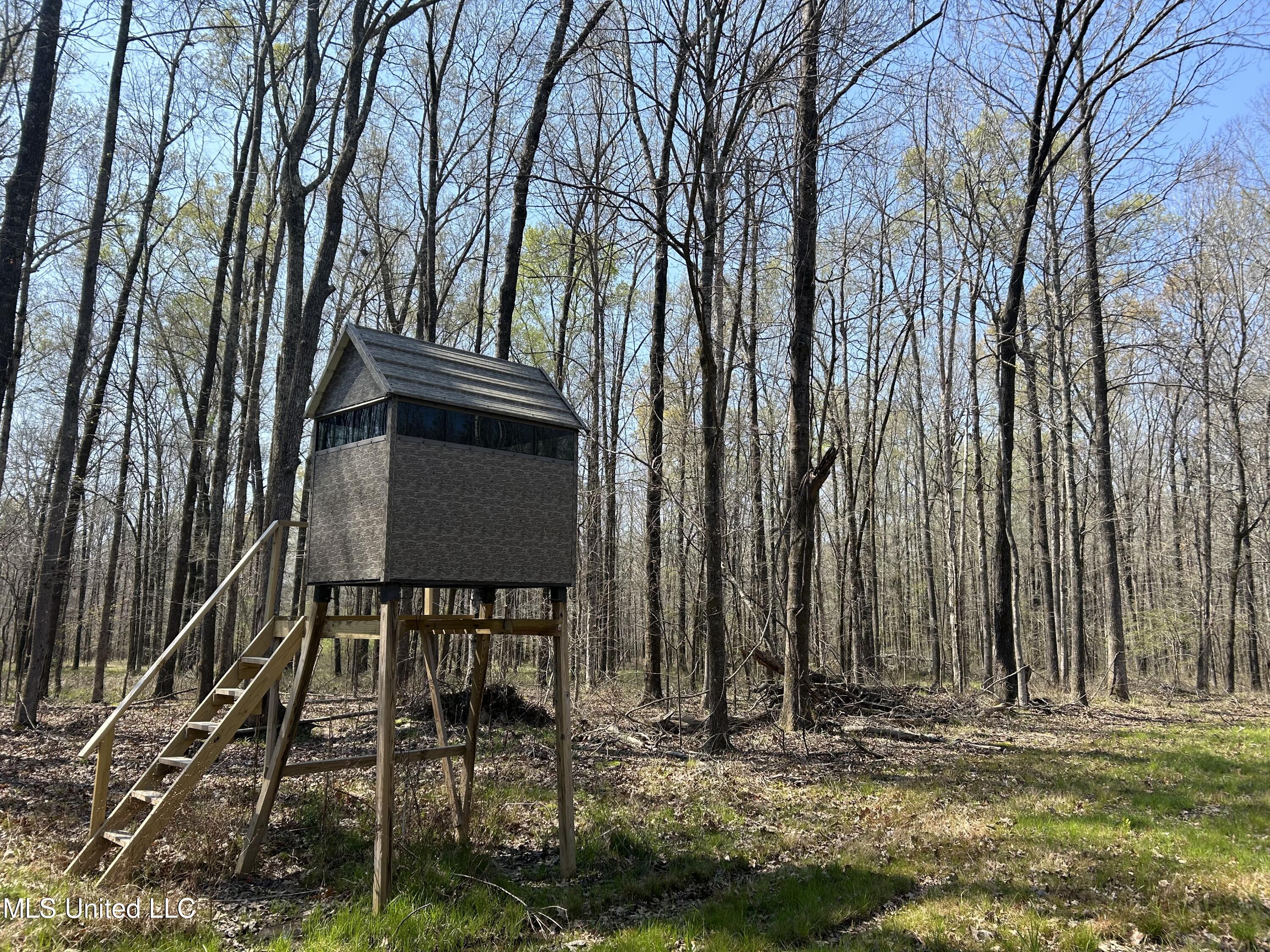 Ms-8 Calhoun City, MS 38916 - Photo 12 of 61 Photo Mar 23 2024, 11 56 06 AM